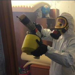 Уничтожение клопов в квартире. Рязанский проспект
