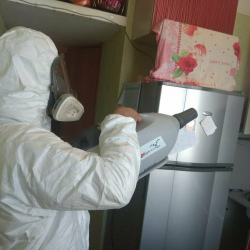Уничтожение насекомых в квартире. Рязанский проспект